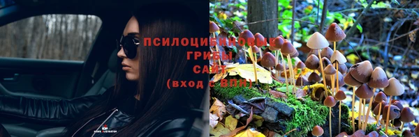 сатива Усолье-Сибирское