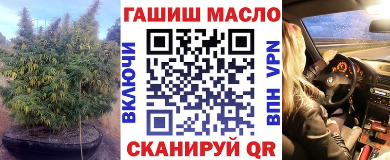 Купить закладки  Новоузенск  Дистиллят ТГК гашишное масло 